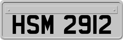 HSM2912