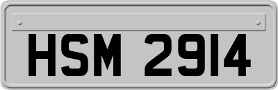 HSM2914