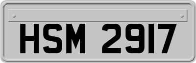 HSM2917