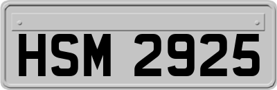 HSM2925