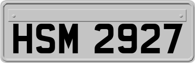 HSM2927