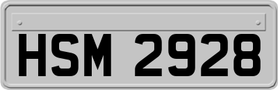 HSM2928