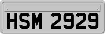 HSM2929