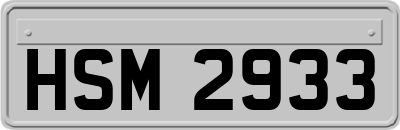 HSM2933