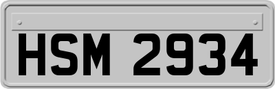 HSM2934