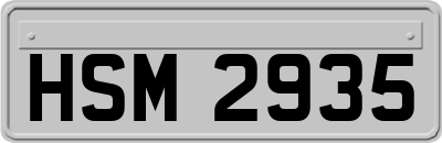 HSM2935