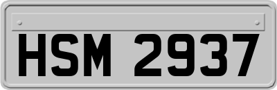 HSM2937