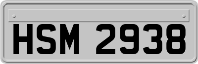 HSM2938