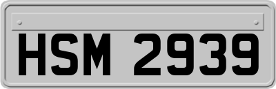 HSM2939