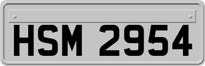 HSM2954