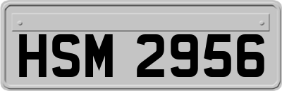 HSM2956