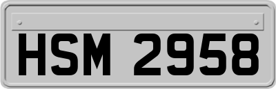 HSM2958