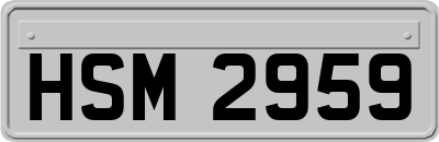 HSM2959