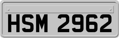 HSM2962