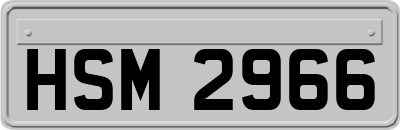 HSM2966