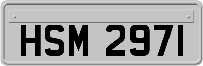HSM2971