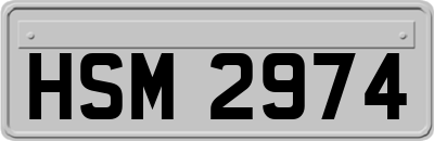 HSM2974