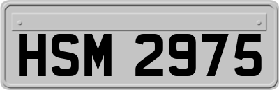 HSM2975