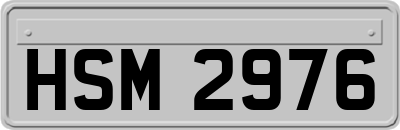 HSM2976