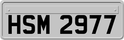 HSM2977