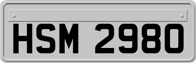HSM2980