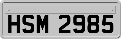 HSM2985