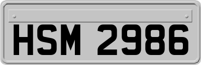 HSM2986