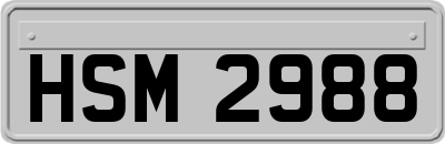 HSM2988