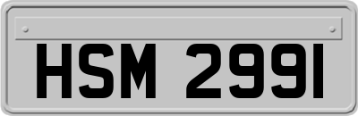 HSM2991