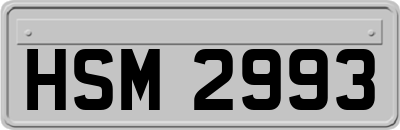 HSM2993