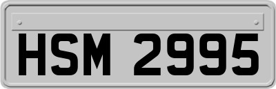 HSM2995
