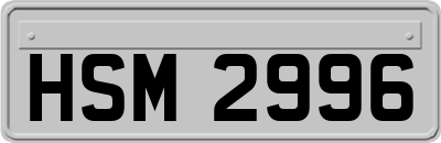HSM2996
