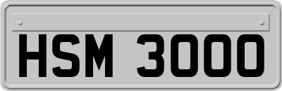 HSM3000