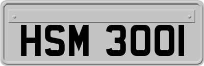 HSM3001