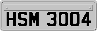 HSM3004
