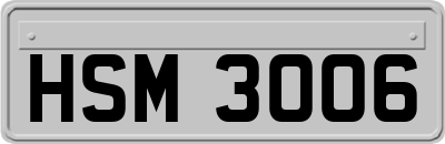 HSM3006
