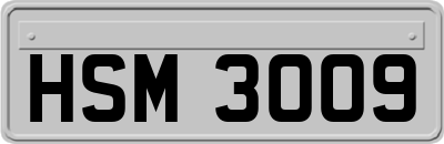 HSM3009