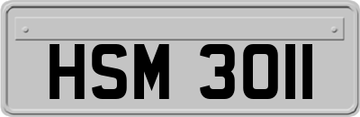 HSM3011