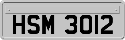 HSM3012
