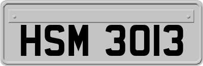 HSM3013