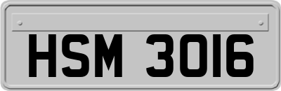 HSM3016