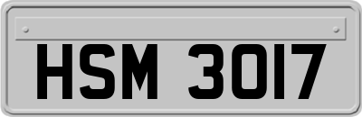 HSM3017