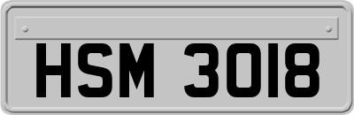 HSM3018
