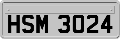 HSM3024