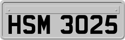 HSM3025