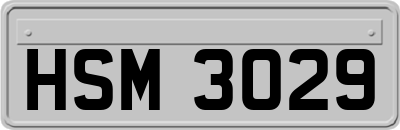 HSM3029