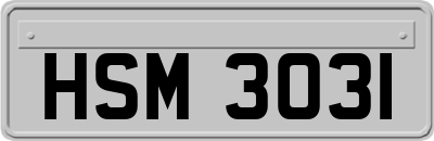 HSM3031