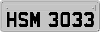 HSM3033