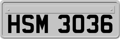 HSM3036