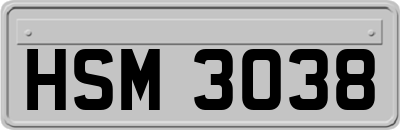 HSM3038